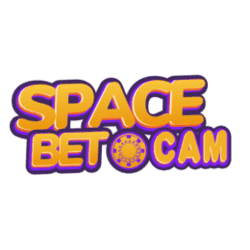 large print sudoku puzzles
